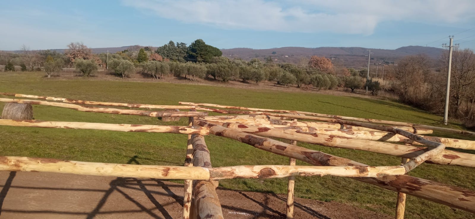 tettoie-in-legno- Gentili-Vetralla